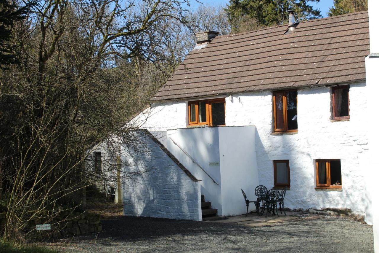 Ghyll Burn Cottage And Barn End Cottage ออลส์ตัน ภายนอก รูปภาพ